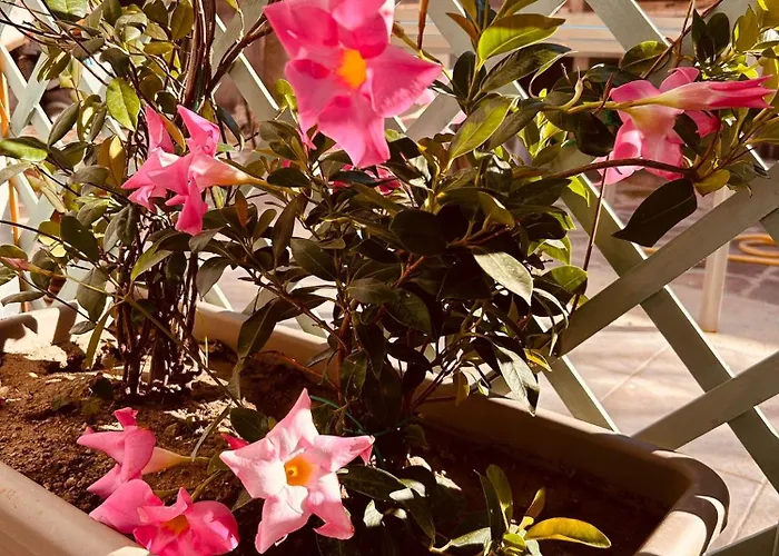 Lejlighed Casa Tholos Charme And Relax *